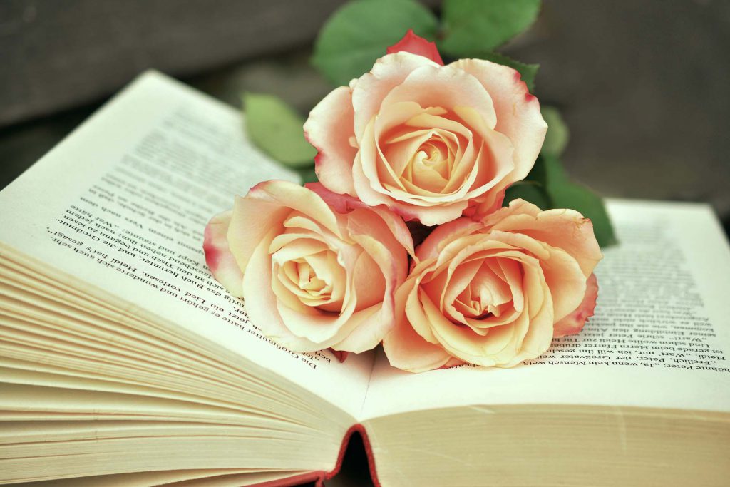 Open publication with roses on the pages