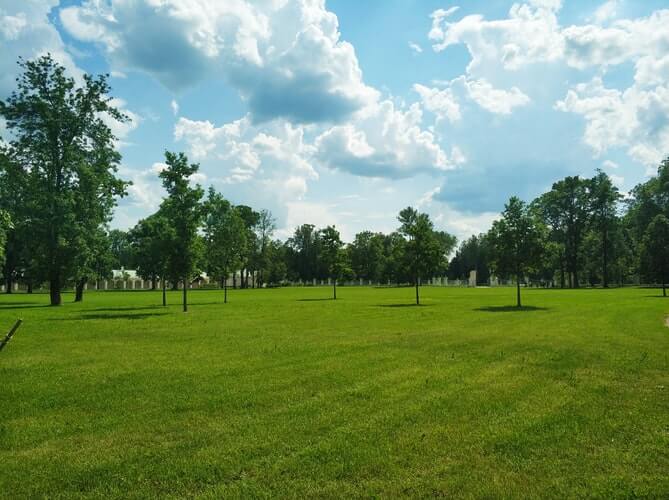 Green space