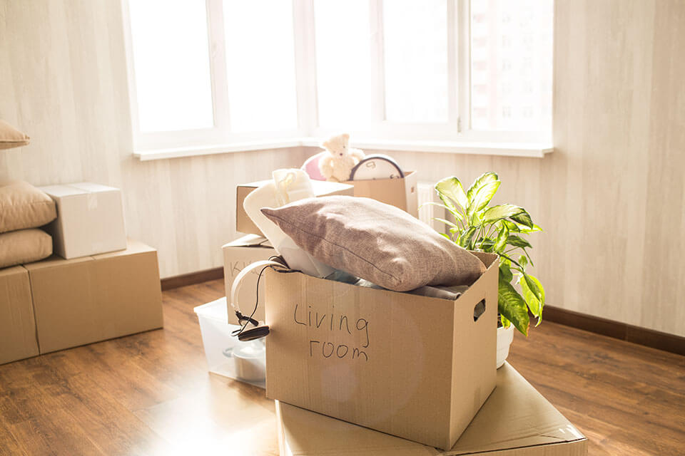 A box with pillows waiting for Chicago movers