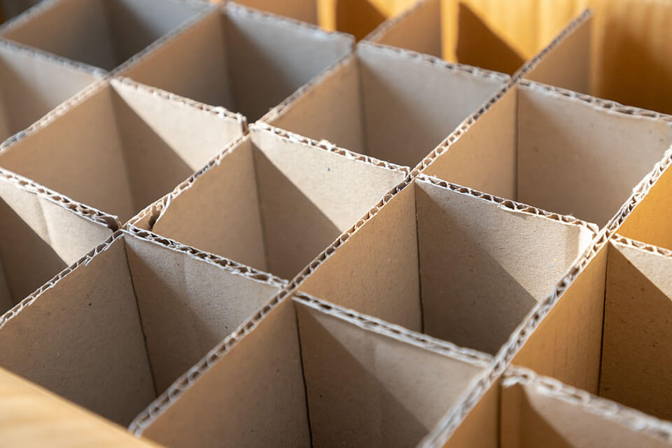 Divided carton packaging