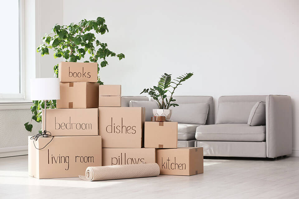 Pile of packages, plants, and a couch