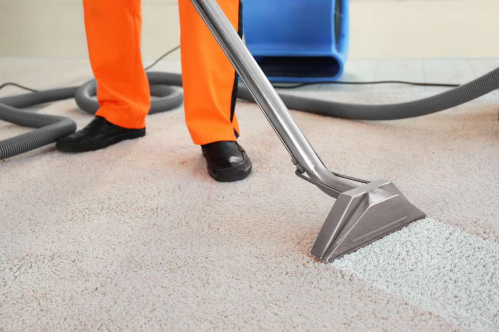 Professional cleaner vacuuming the carpet