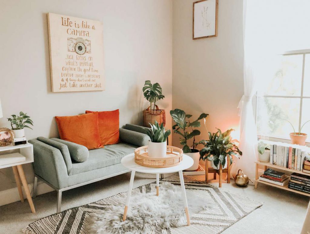 Sofa, coffee table, plants, and shelf with books