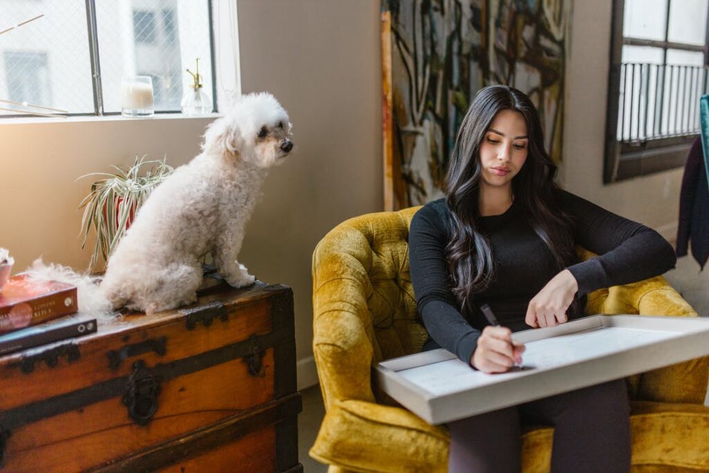 Make a layout for your budget movers