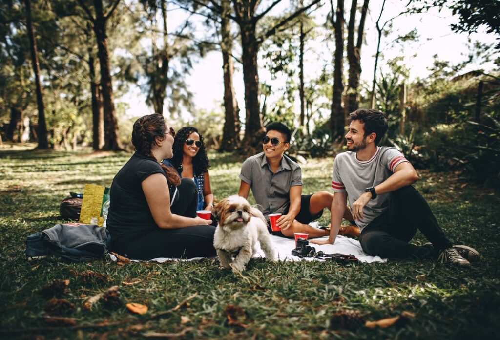 people having a picnic